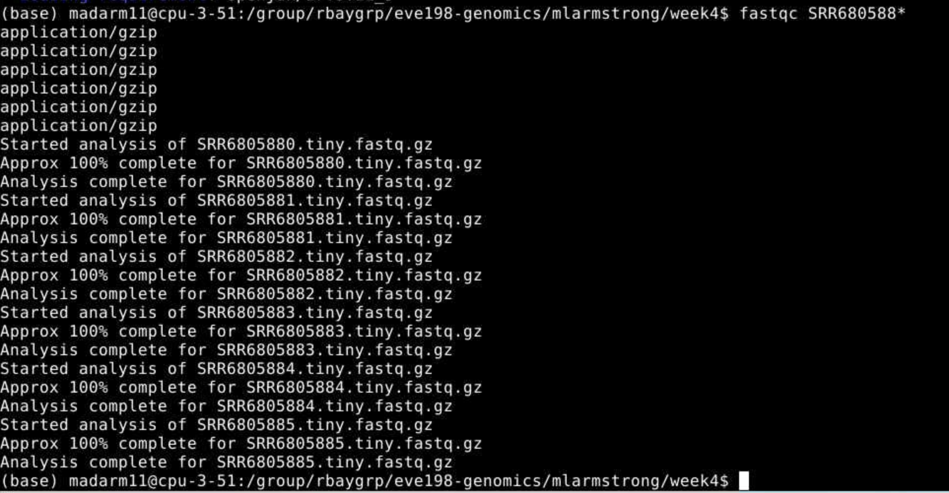 What you should see on your screen!