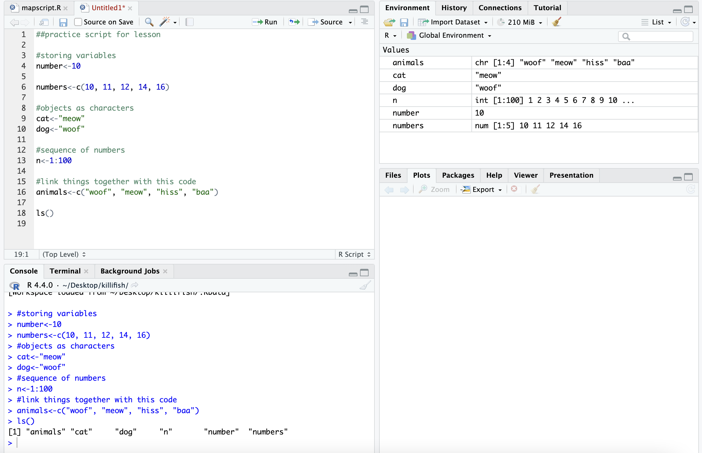 Returns a list of what is present in our R environment